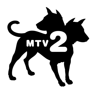 MTV 2 Channel